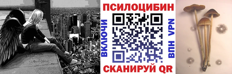Галлюциногенные грибы мицелий  блэк спрут ссылка  Ленинск-Кузнецкий 